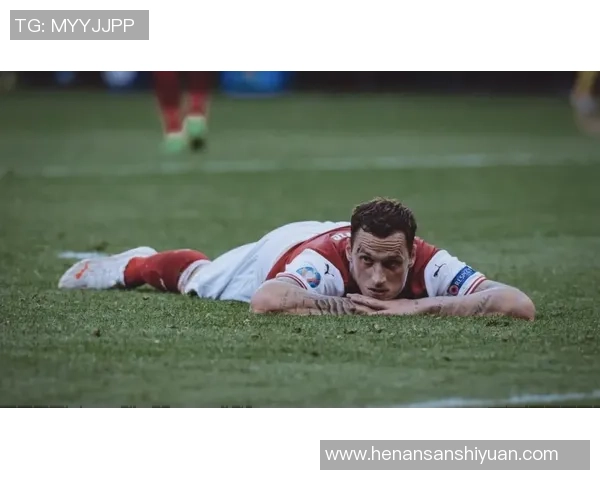 奥地利足球奇迹之路：从附加赛逆袭至世界杯八强荣耀